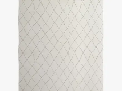 Restoration Hardware Rugs 110 3D model