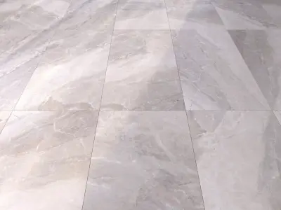 Marble Floor Alpin Grey Texture