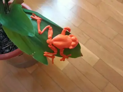 Linda ranita flexible articulada tiempo limitado Free 3D print model