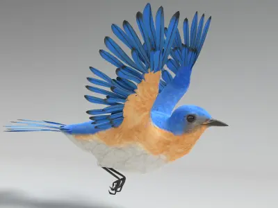  Bluebird Animated 