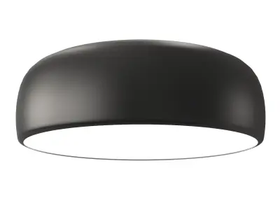 Flos Smithfield Suspension 2 3D model