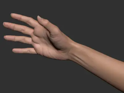  Realistic Female Arm 