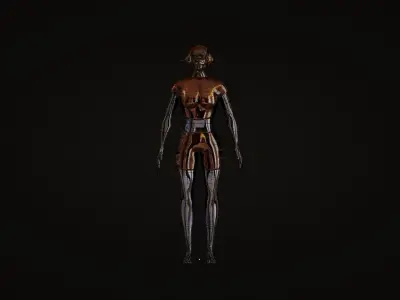 Female Robot 3D model get
