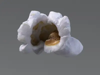  Realistic Popcorn Collection 