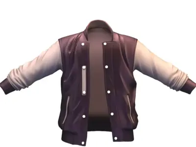 Cartoon High Poly Subdivision Jacket 020 Low-poly 3D model
