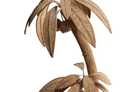 Rattan Coconut Tree 3D model