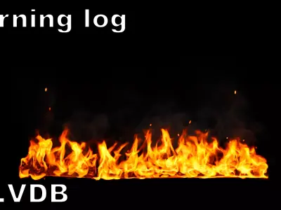 High-Resolution Burning log - vdb animated 3D model
