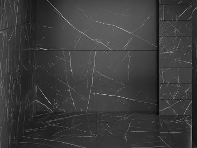 NERO MARQUINA-FGM 3D model
