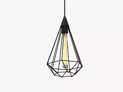 Metal Cage Ceiling Lamp 3D model