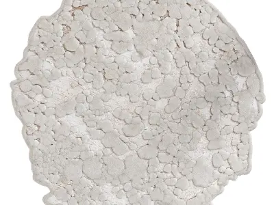 Sophie Dries Meteor rug 3D model