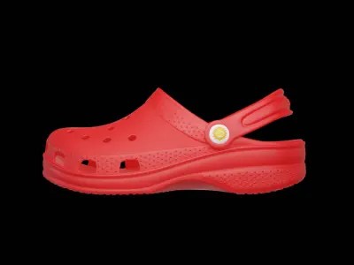  Flip-flops 3D model
