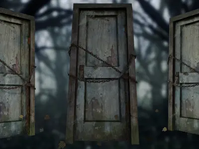 Door001 old door in woods Texture