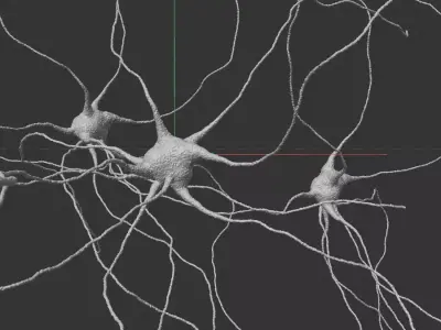 Neuron cell  3D model