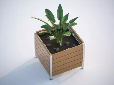 Green plant in a square pot 3D model