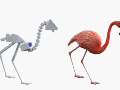  Tropical Bird Flamingo Pink Rigged 