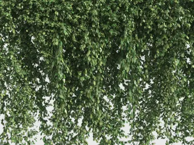  Climbing Plants Collection (+GrowFX) 