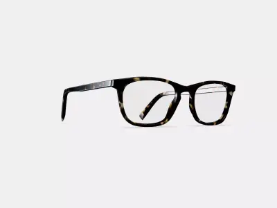 Welty Eyeglasses in Whiskey Tortoise 3D model