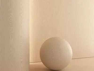 Oak Light Bleached 4 Textures Set 04 Texture