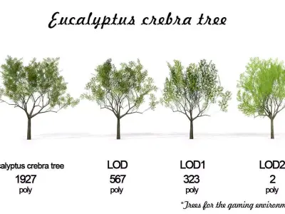 Eucalyptus crebra tree Low-poly 3D model