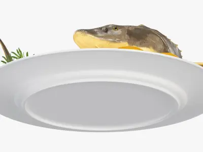  Plated Sturgeon with Herbs and Lemons 