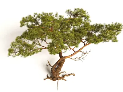 Tree 1 3D model