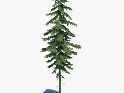  Pine Tree Pack 01 