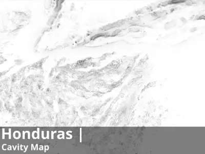 Honduras Occlusion Thickness Cavity Curvature Direct 8k Maps Texture