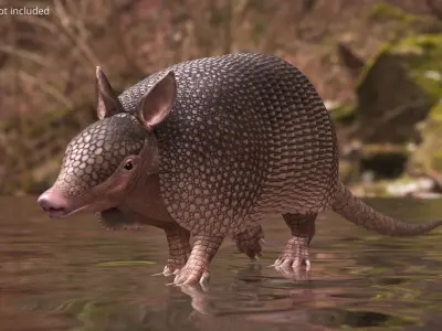  Armadillo Pink Walking Animated Rigged for Maya 