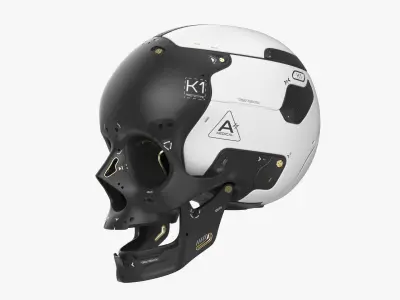 Artificial Skull 3D model