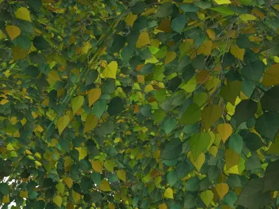 Tree - 00003 Low-poly 3D model