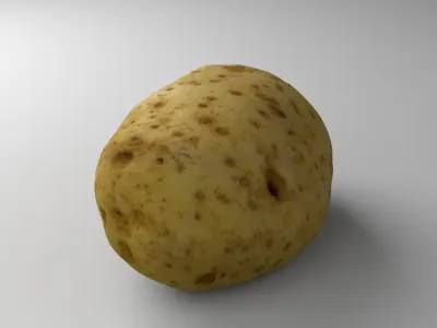 Potato - Photorealistic Scan Low-poly 3D model