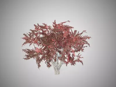 Crape Myrtle Fall Tree Low-poly 3D model