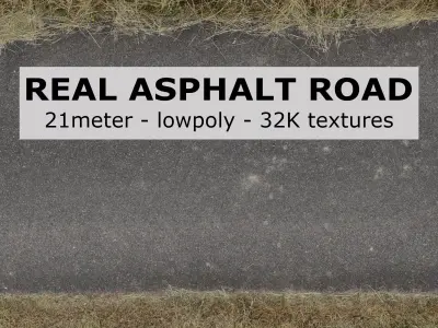 real asphalt road - 21meter and lowpoly Low-poly 3D model