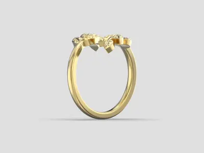 R 223 Leaf Ring 3D print model