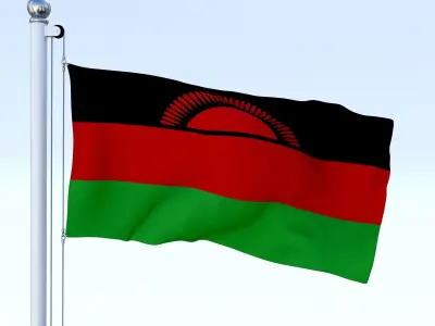 Animated Malawi Flag Low-poly 3D model