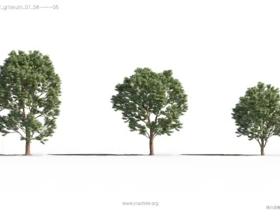 Maxtree Plant Models Vol 26 - Mesh 3D model