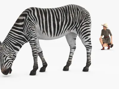  Explorer and Zebra 