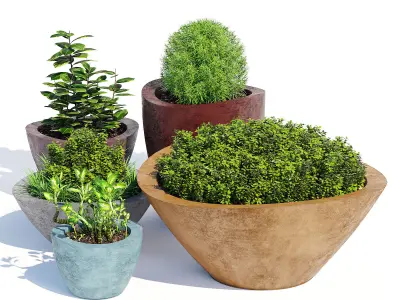 Dune series 3D model