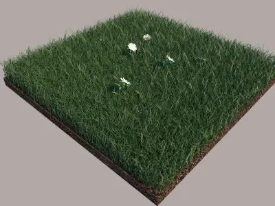 Grass daffodils in 3D model