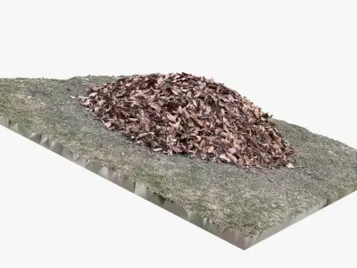 Leaves on the ground 3d scan 3D model