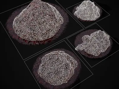 Blood and Guts Piles Low-poly 3D model