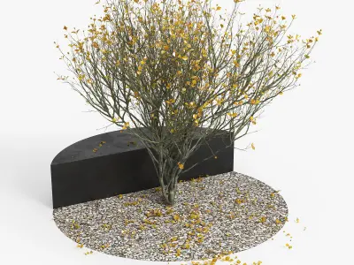 Autumn cactus on bench 3D model