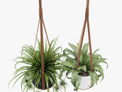 Corium Plant Hanger 3D model