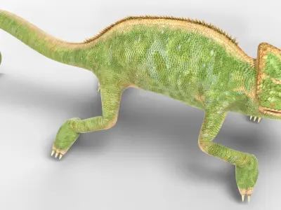  Chamelion Animated Rigged for Blender 