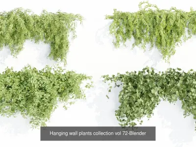 Hanging wall creeper plants collection-Blender-001 3D Model Pack