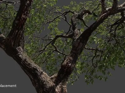 All Trees Collection 3D Model Pack
