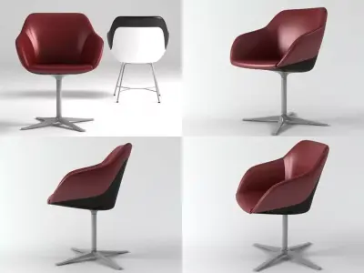 Turtle chair 3D model