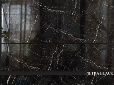 Decovita Pietra Black 600x1200 3D model