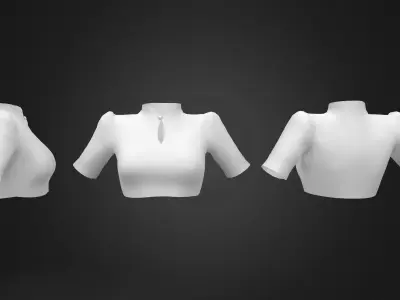 Stand Collar Short Arm Blouse Low-poly 3D model