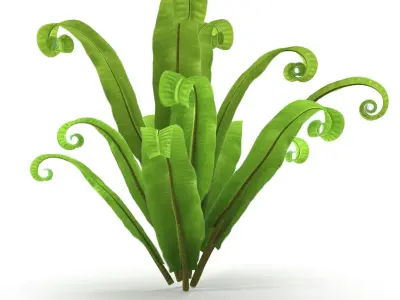Asplenium scolopendrium 3D model